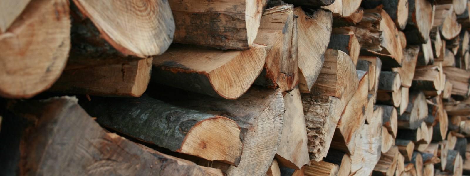 Geschichteter Brennholzstapel, helle Schnittflächen der gespaltenen Scheite