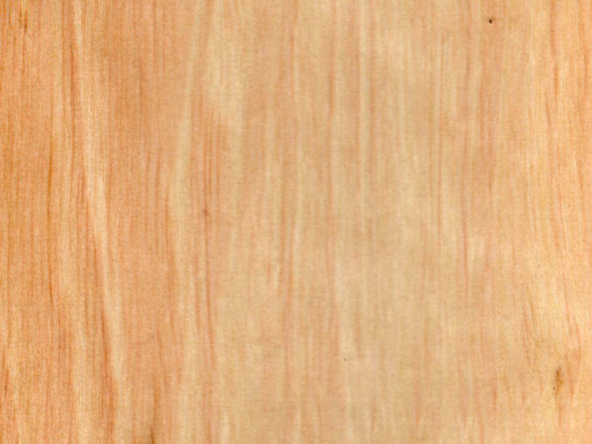 Hornbeam (Carpinus betulus) veneer with pale, irregular grain