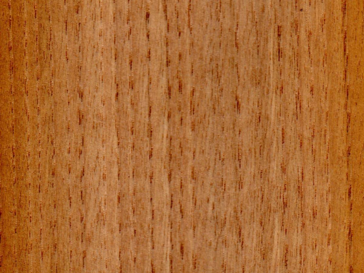 Фурнир од питом костен (Castanea sativa) со јасно видливи пори