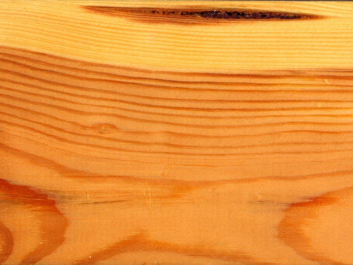 Površina daske od borovine (Pinus sylvestris) sa godovima i smolnim džepom
